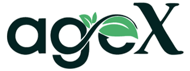 AgeX Vitamin C and Zinc Tablets – Immunity Booster Supplement